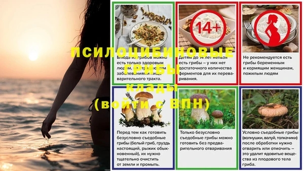 скорость Абинск
