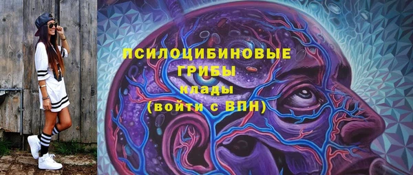 соль курить ск Гусев