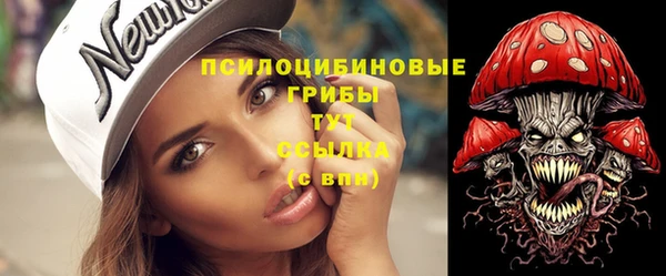 ПСИЛОЦИБИНОВЫЕ ГРИБЫ Алексин