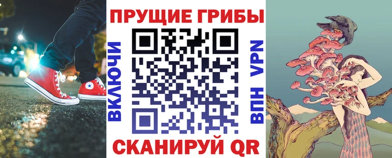 где продают   Тюкалинск  Галлюциногенные грибы мухоморы 